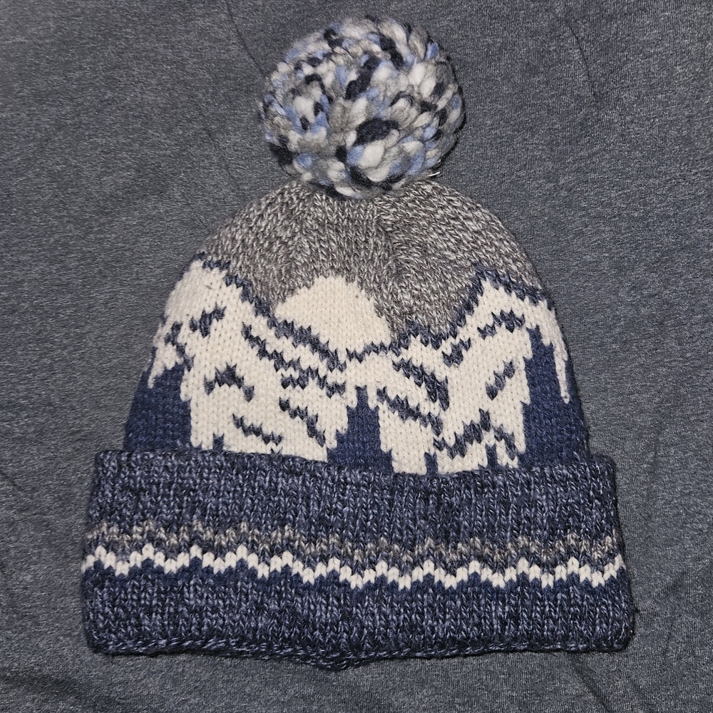 american eagle pom beanie